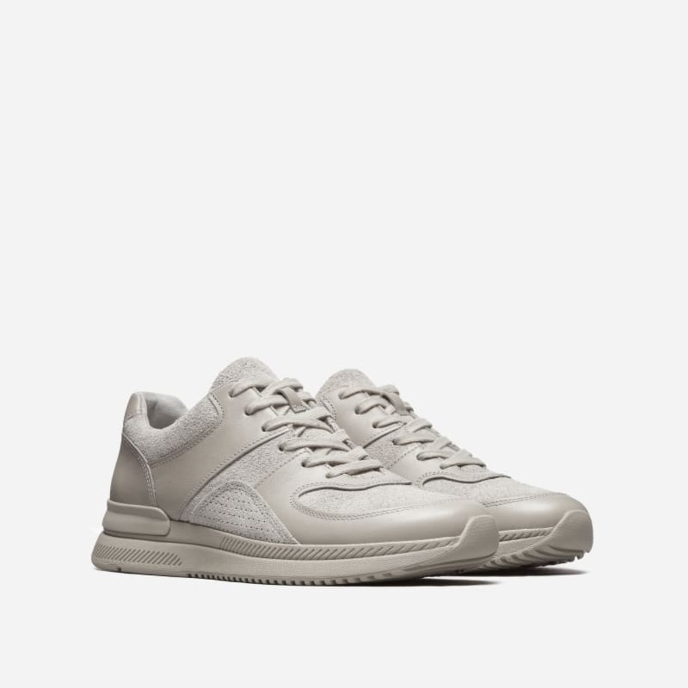 Everlane leather sneakers NEW